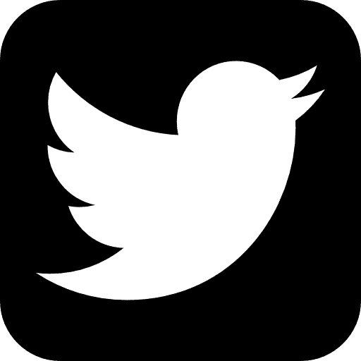 Twitter Social Network